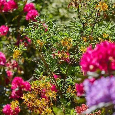 Pod Lasem Semesterbostad Ludwinow