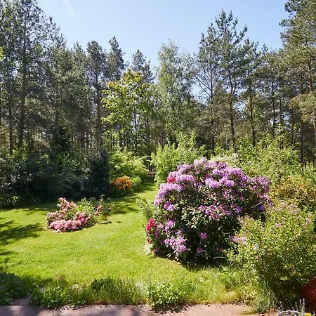 Pod Lasem * Ludwinow