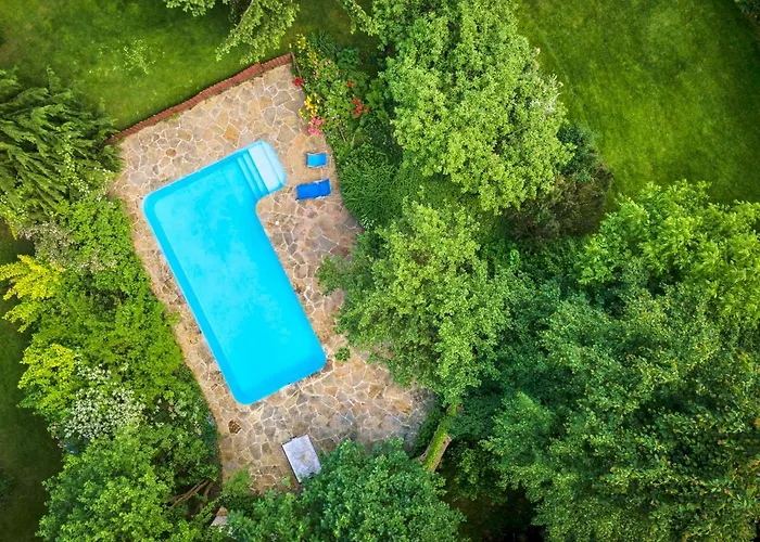 Дом отдыха Pod Lasem Ludwinow