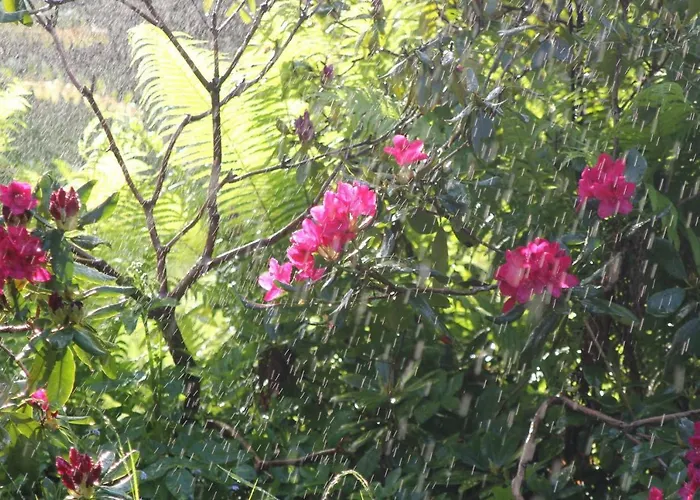 Pod Lasem Дом отдыха Ludwinow