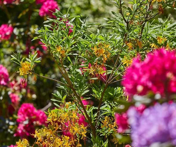 Pod Lasem Дом отдыха Ludwinow