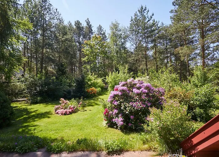 Pod Lasem * Ludwinow