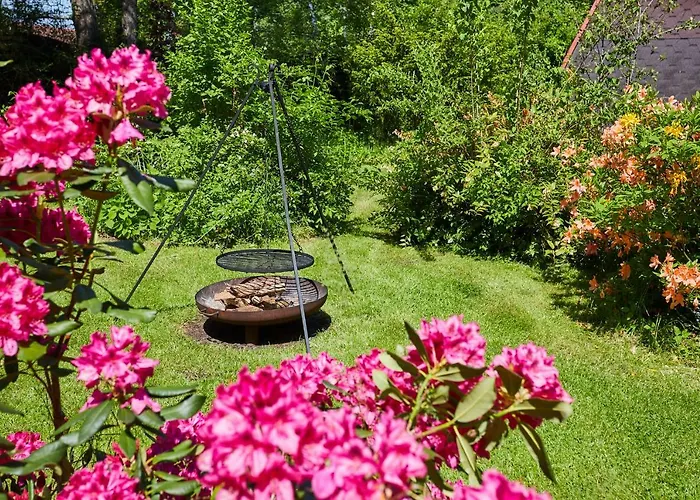 Дом отдыха Pod Lasem Ludwinow